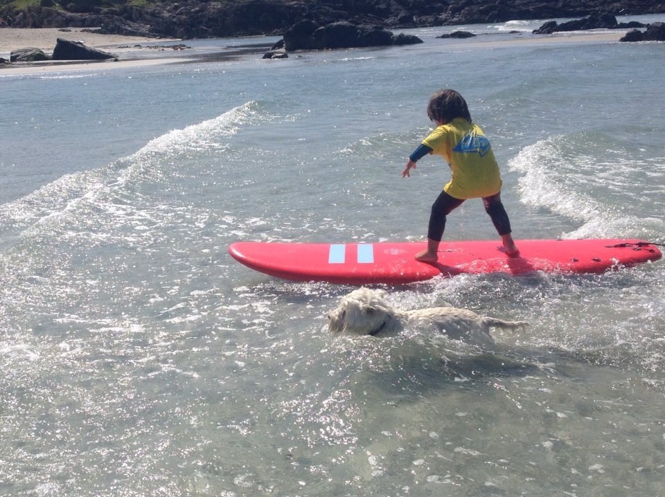 Learn to surf in a safe and fun environment